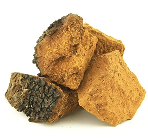 Chaga Powder