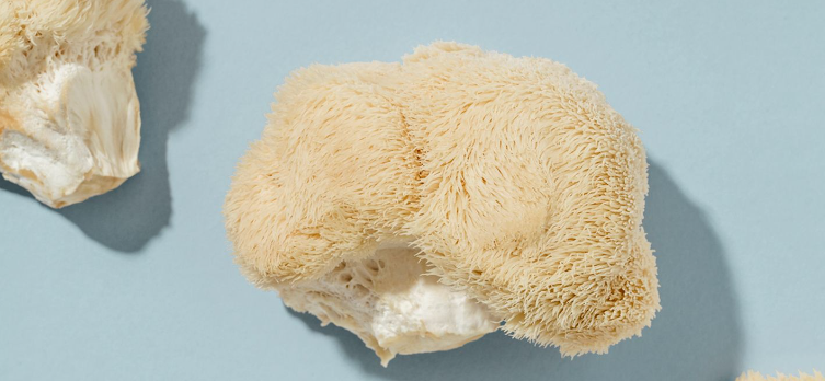 Focus Flow Capsules - Lions Mane