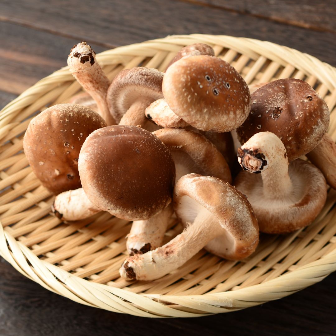 Shiitake Harmony