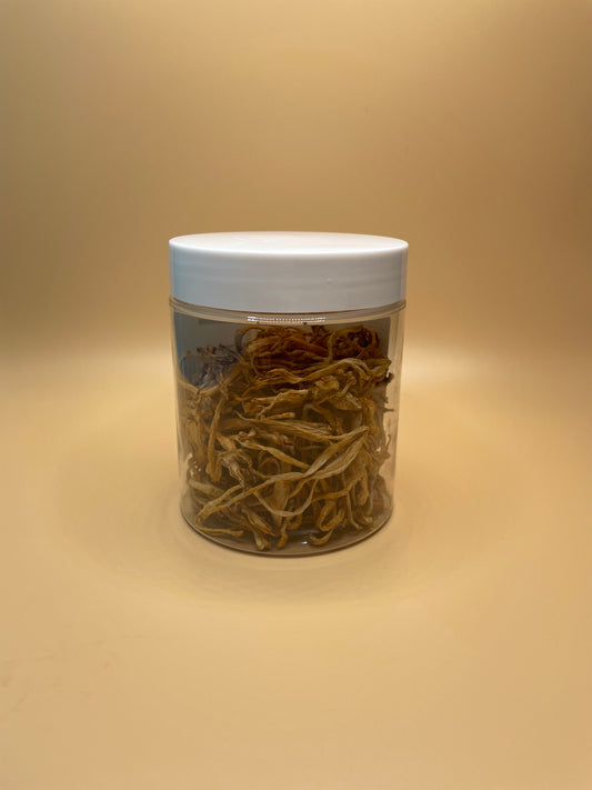 Dried Cordyceps