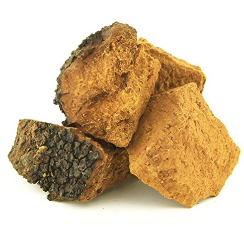 Chaga Charge Capsules