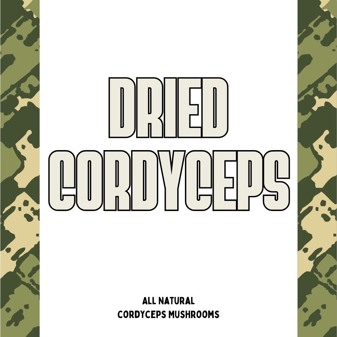 Dried Cordyceps