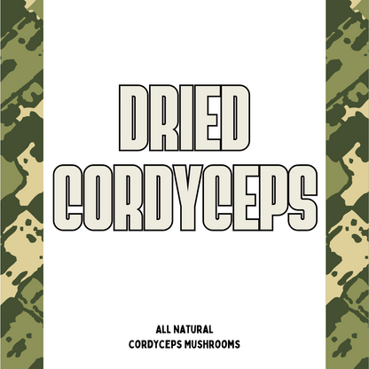 Dried Cordyceps
