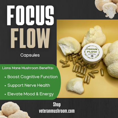 Focus Flow Capsules - Lions Mane