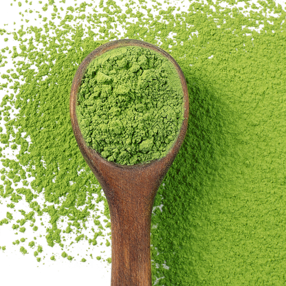 Matcha Duo