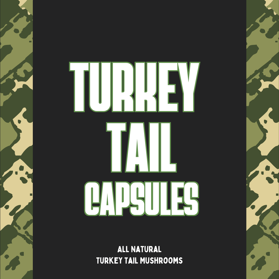 Turkey Tail Capsules
