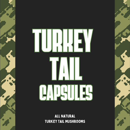 Turkey Tail Capsules