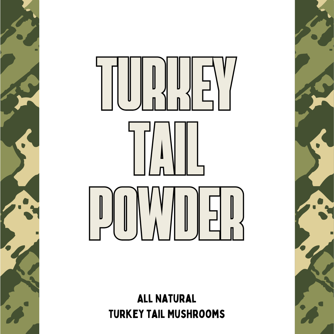 Turkey Tail Powder